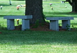 Memorial Benches in Norbeck